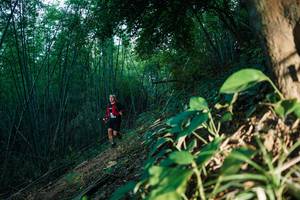 BIB: 
                            <button type="button" onclick="openModal(28123805)" class="btn btn-primary btn-sm float-right btn-popup" data-toggle="modal" data-target=".modal-high-quality">
                        <i class="fas fa-shopping-cart"></i> Add to Cart
                    </button>
                                            <button type="button" onclick="isThisMe(28123805, true)" class="btn btn-success btn-sm float-right btn-popup btn-isme hidden" data-toggle="tooltip" data-placement="bottom" title="นี่คือรูปของคุณใช่ไหม คลิกที่นี่เพื่อเอาเข้าอัลบั้ม">
                        <i class="fas fa-plus"></i> Add to album
                    </button>
                    <button type="button" onclick="isThisMe(28123805, false)" class="btn btn-warning btn-sm float-right btn-popup btn-isnotme hidden">
                        <i class="fas fa-ban"></i> Remove from album
                    </button>